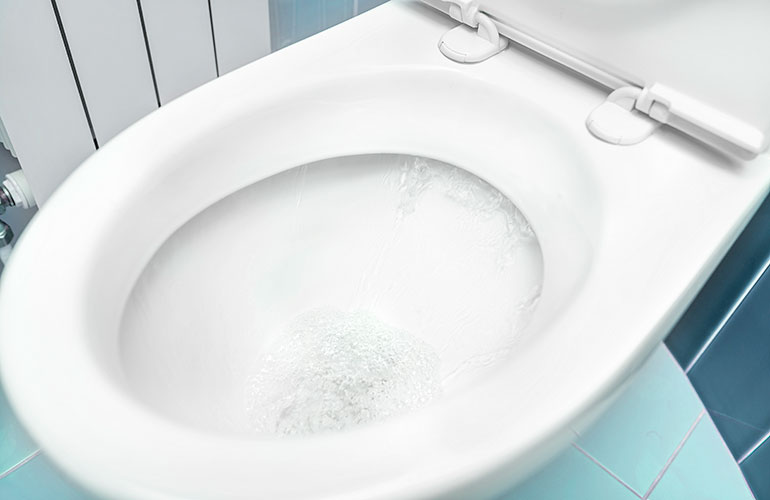 You flush, lid up