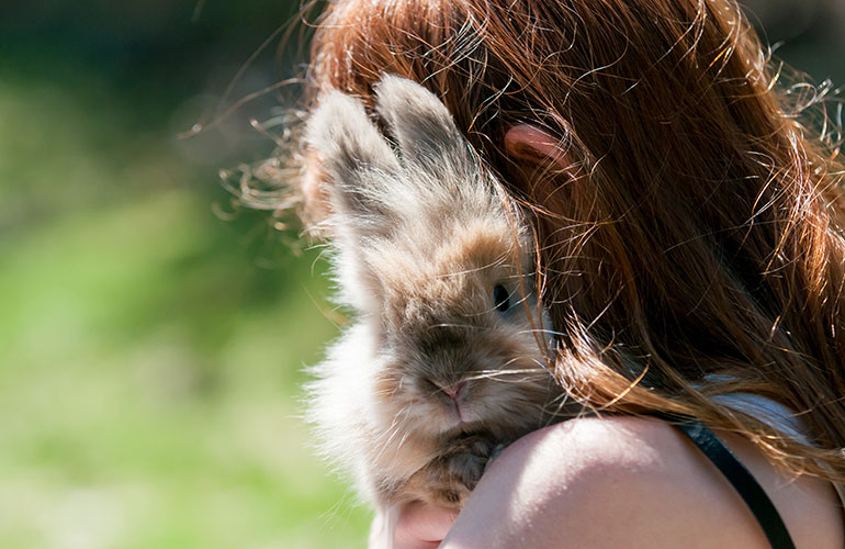 Your rabbit comes when you call