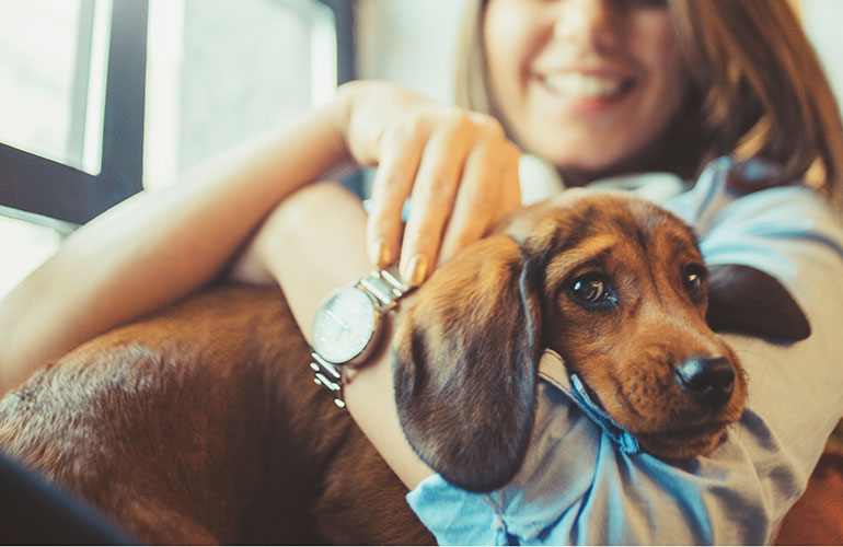 Your dog snuggles up to you