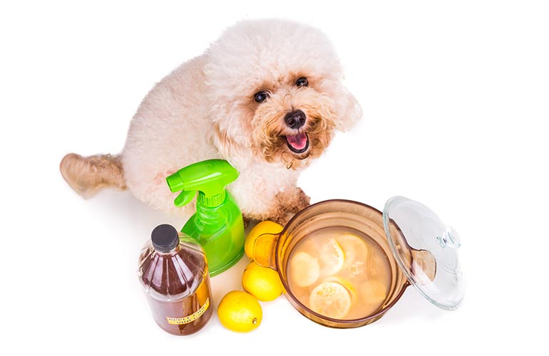 2. Vinegar repellent