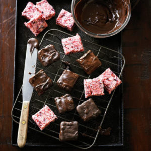Chocolate, Cherry and Coconut Bites