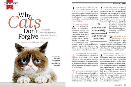 Why Cats Don't Forgive