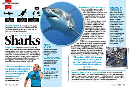 Everything You Need to Know About Sharks