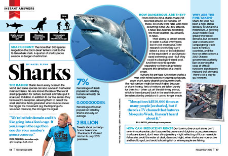 Everything You Need to Know About Sharks