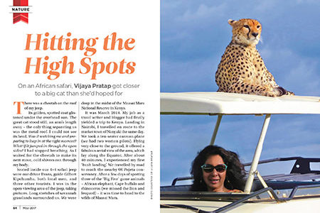 Up close with a Cheetah