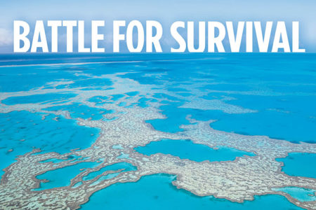 Battle for Survival – is the Great Barrier Reef Really Dying?