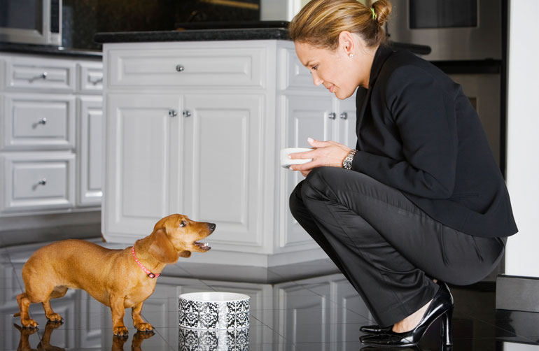 46. Teaching your dog to bark for food