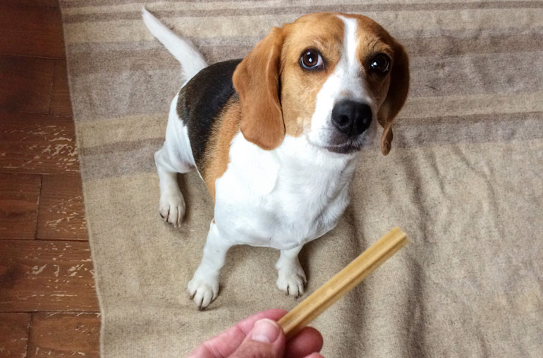 11. Relying too much on treats