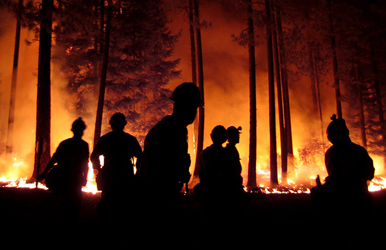 In the Eye of a Firestorm