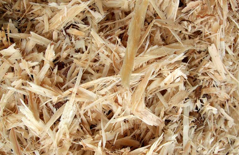 5. Cedar deterrents