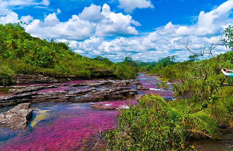 1. Caño Cristales, Colombia