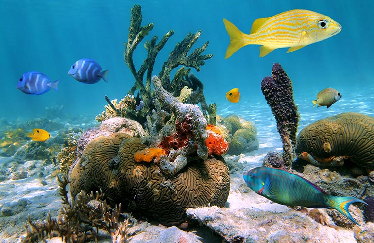 6. Cozumel, Mexico