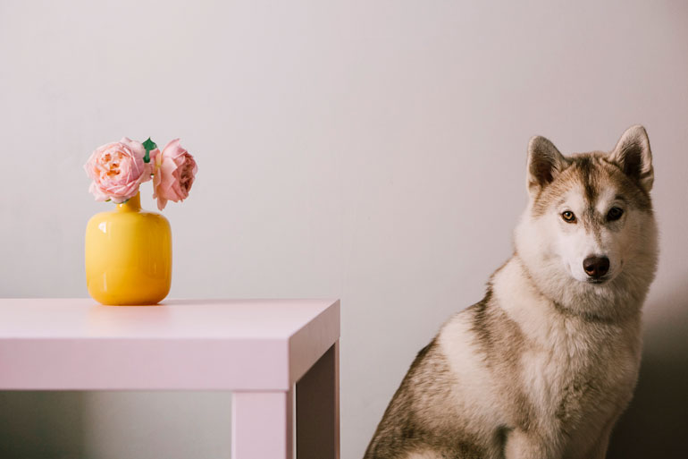 6. Putting a vase of flowers on a low table