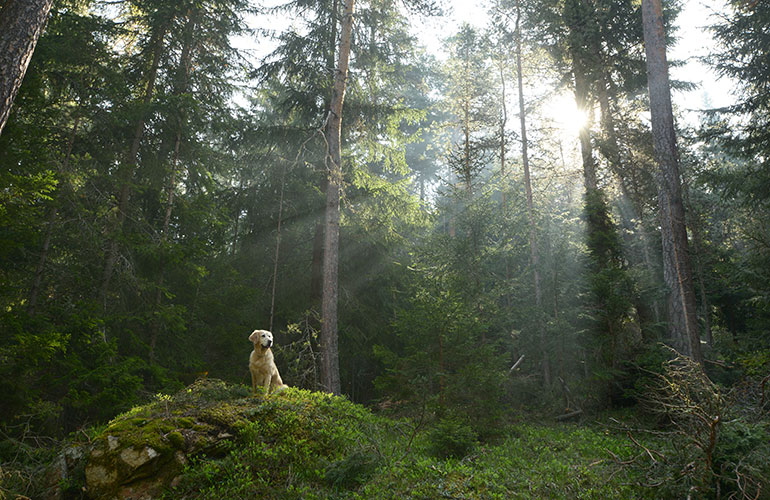 5. Get outside more