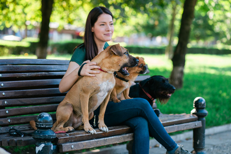 8. Not properly vetting your dog sitter