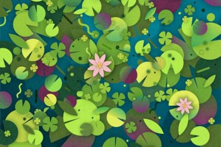 Over 60 Percent of People Can’t Find the Turtle in This Picture. Can You Spot It?