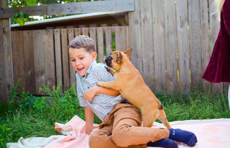 48. Letting your dog “say hello” to visitors
