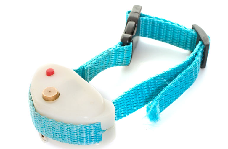 51. Using shock or “bark” collars