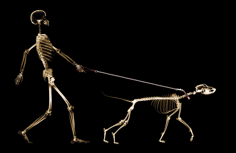 45. It’s time to double down on your calcium