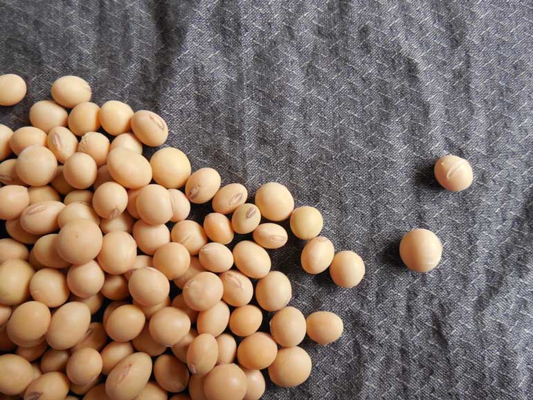 8. Snack on soy nuts for a crunchy, nutrient-packed munch