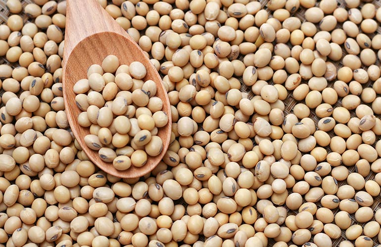 6. Adding soy to your diet can strengthen your bones