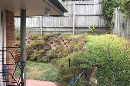 Most People Can Not Spot the Snake in this Photo – Can You?