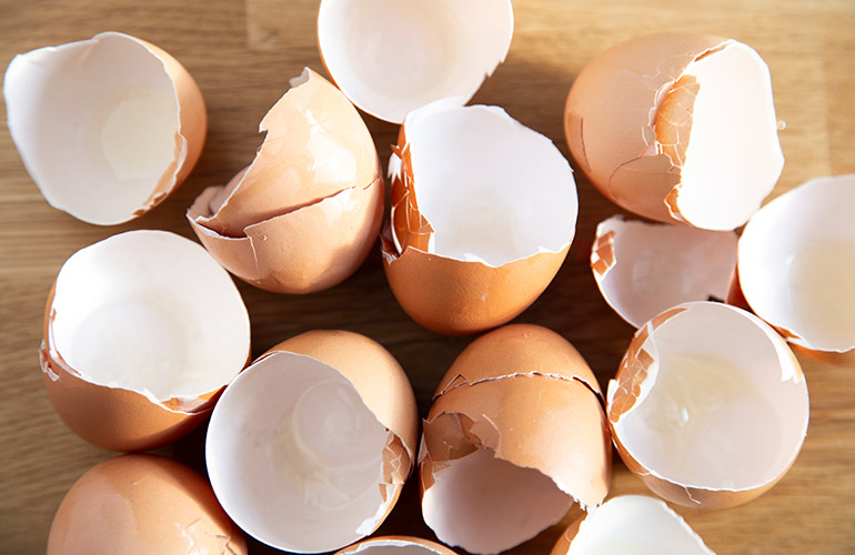 Put eggshells to work all around the house
