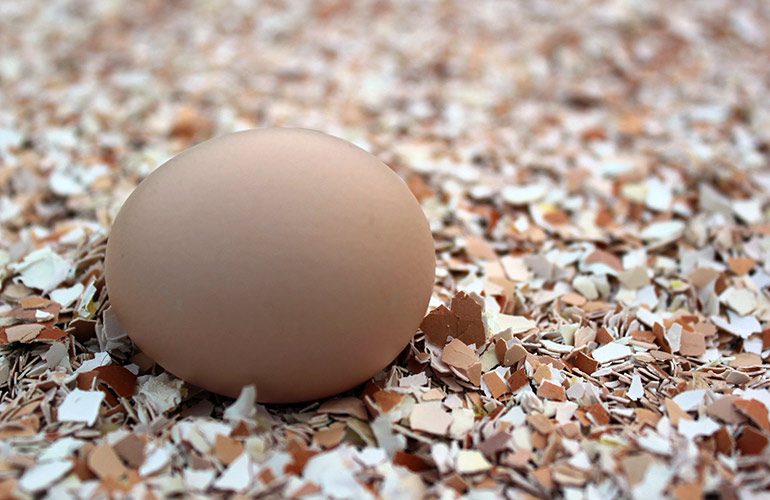 Use eggshells to fertilise the garden