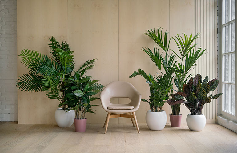 Re-create a forest floor 