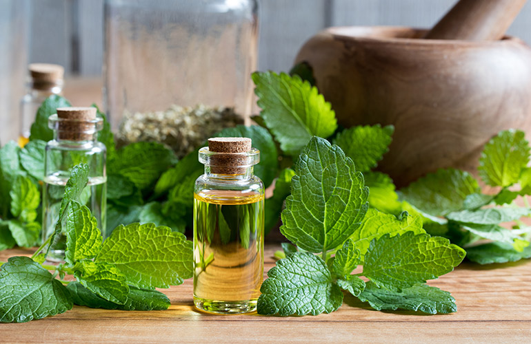 Apply lemon balm essential oil