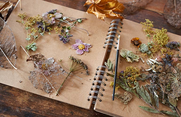 Dried flowers