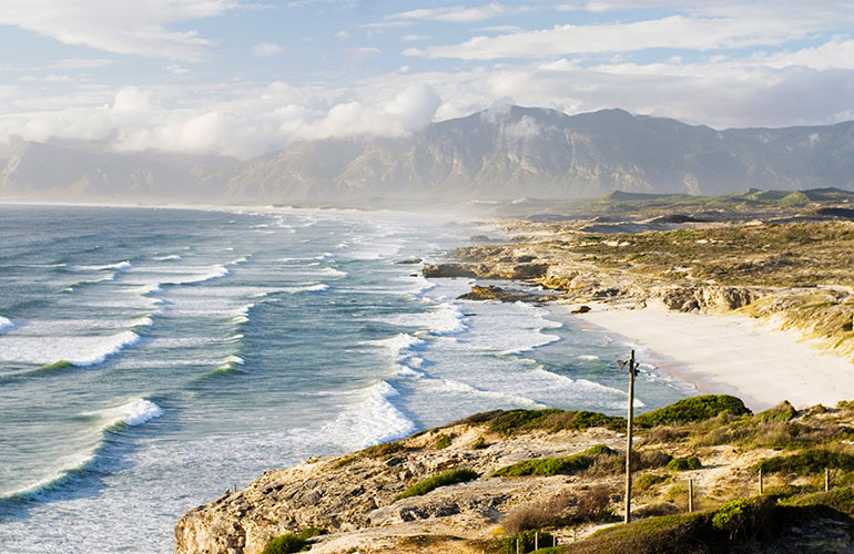 Gansbaai, South Africa