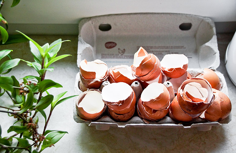 Use eggshells as a non-toxic abrasive cleaner