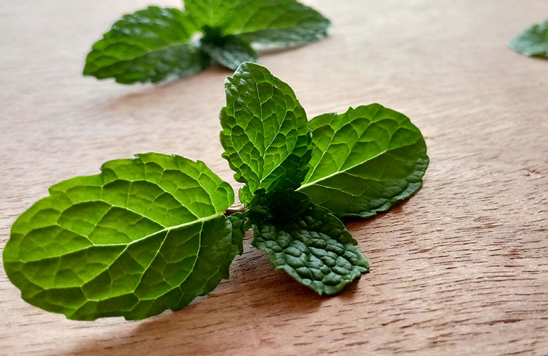 4. Chew a few sprigs of mint or parsley