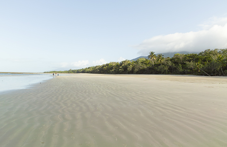 Cape Tribulation, Australia