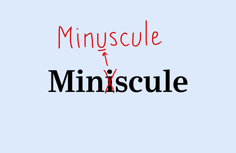 Minuscule