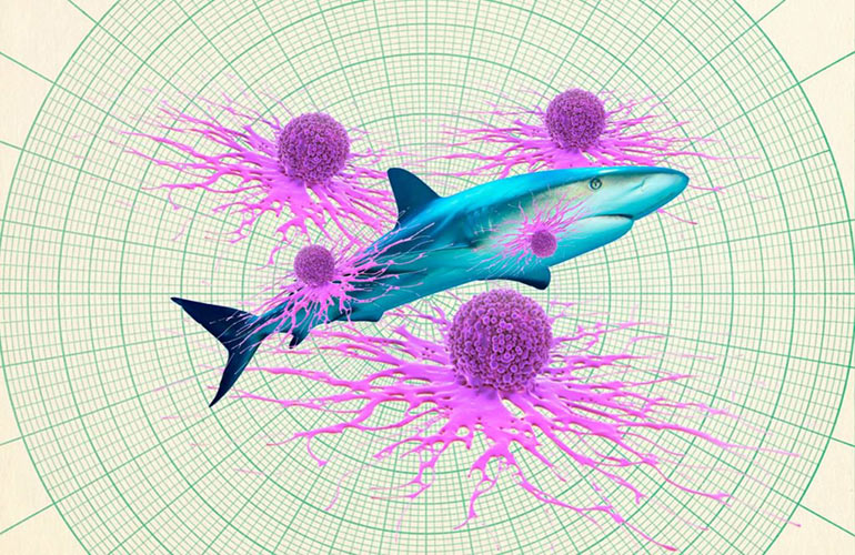 Can sharks get cancer?