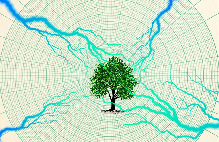 Can lightning strike the same place twice?