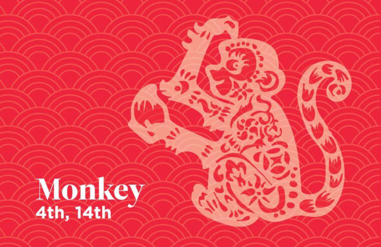 Monkey: 4th, 14th