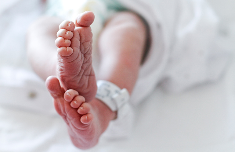 BPA causes birth defects and miscarriages