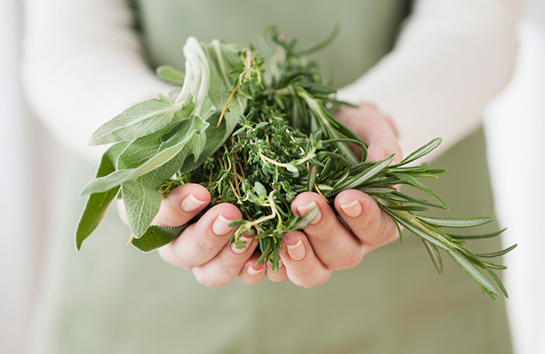 Herbs