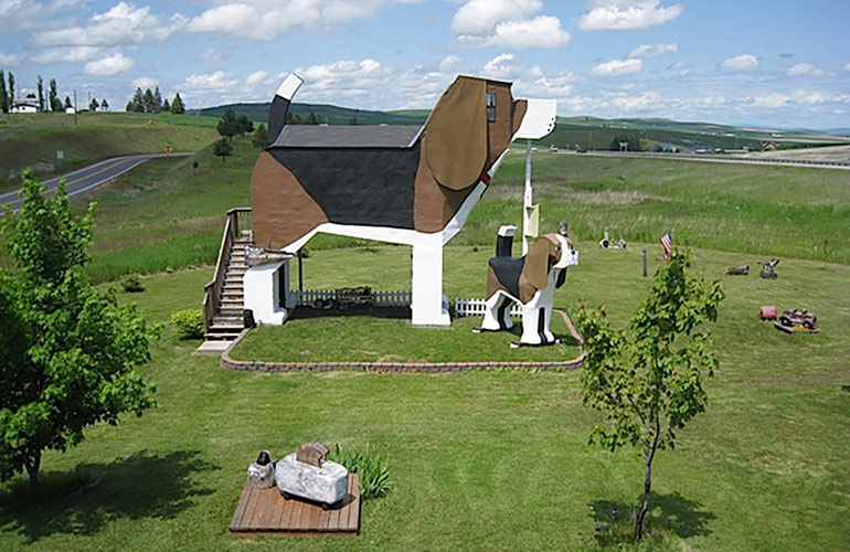 Dog Bark Park Inn in the USA