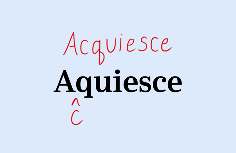 Acquiesce