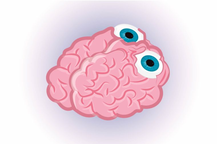 The visual areas of the brain are in the very back