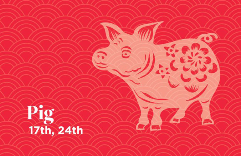 Pig: 17th, 24th