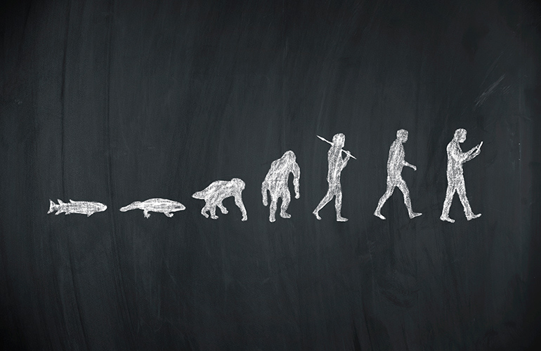 Theory of Evolution