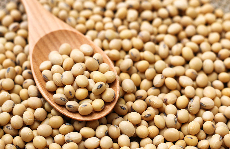 Soy protein