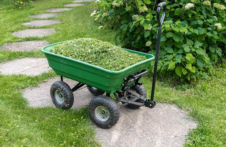 The smell of fresh-cut grass