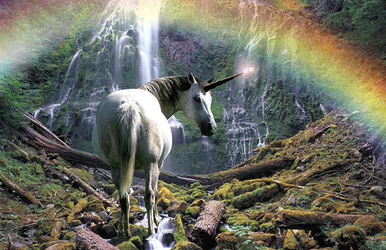 A blessing of unicorns