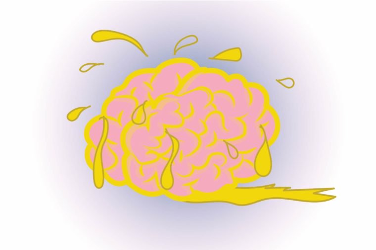 Your brain is mostly fat
